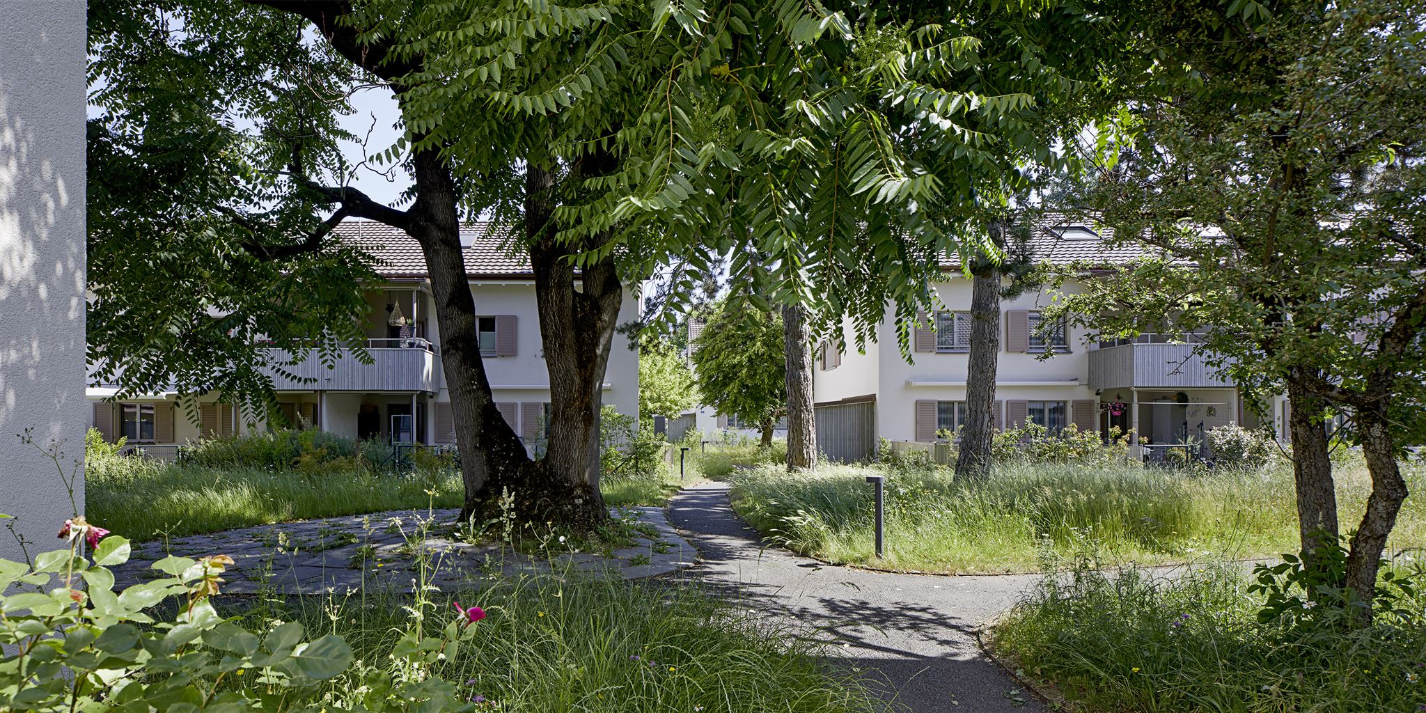 Genossenschaft Belforterstrasse Mission B