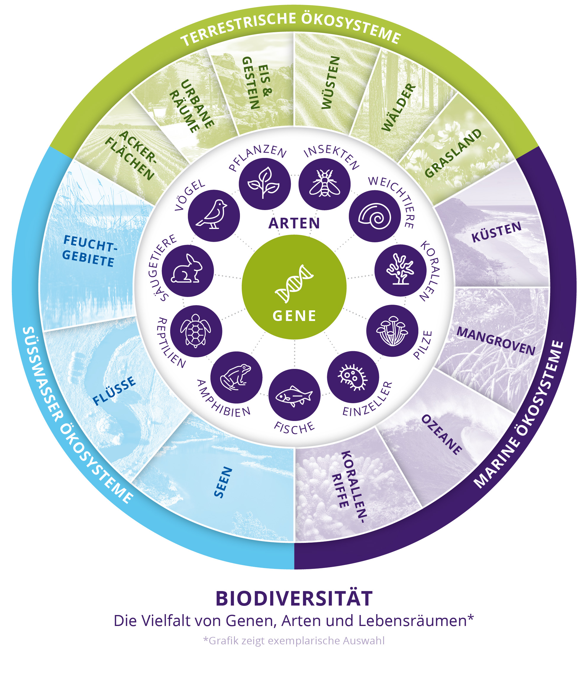 Biodiversitätskreis