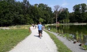 image projet le lac de Sauvabelin se met au vert