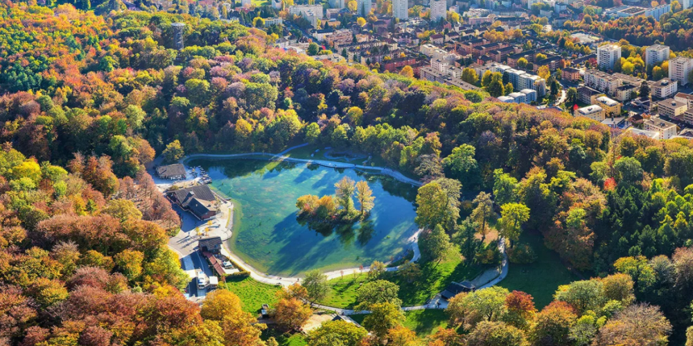 image projet le lac de Sauvabelin se met au vert